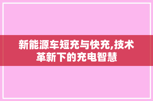 新能源车短充与快充,技术革新下的充电智慧