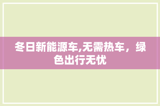 冬日新能源车,无需热车，绿色出行无忧