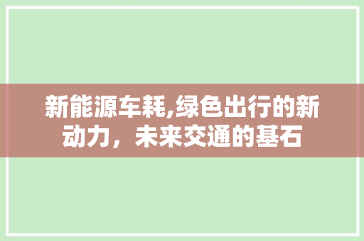 新能源车耗,绿色出行的新动力，未来交通的基石