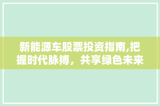 新能源车股票投资指南,把握时代脉搏，共享绿色未来