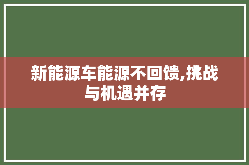 新能源车能源不回馈,挑战与机遇并存