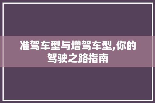 准驾车型与增驾车型,你的驾驶之路指南