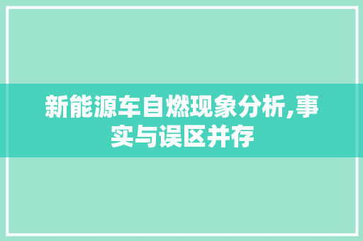 新能源车自燃现象分析,事实与误区并存