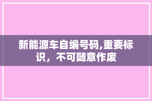 新能源车自编号码,重要标识，不可随意作废