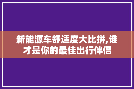 新能源车舒适度大比拼,谁才是你的最佳出行伴侣