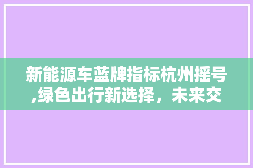 新能源车蓝牌指标杭州摇号,绿色出行新选择，未来交通新趋势