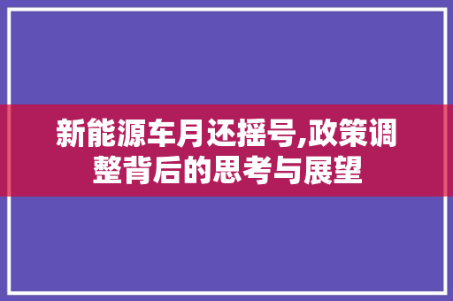 新能源车月还摇号,政策调整背后的思考与展望