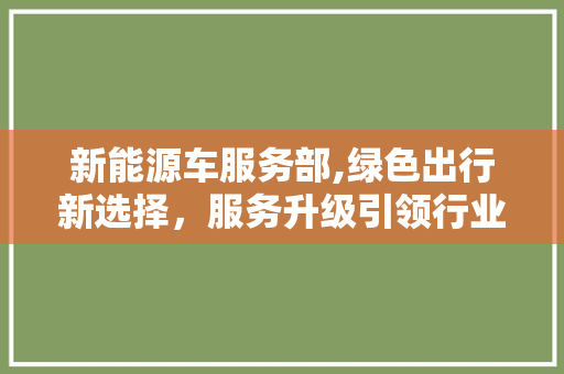 新能源车服务部,绿色出行新选择，服务升级引领行业潮流