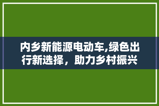 内乡新能源电动车,绿色出行新选择，助力乡村振兴