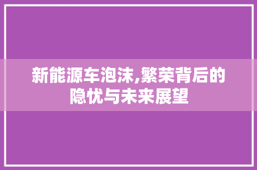 新能源车泡沫,繁荣背后的隐忧与未来展望