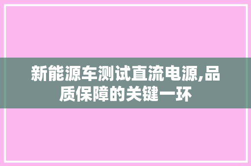 新能源车测试直流电源,品质保障的关键一环