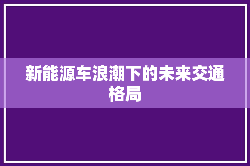 新能源车浪潮下的未来交通格局