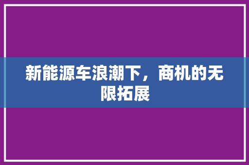 新能源车浪潮下，商机的无限拓展