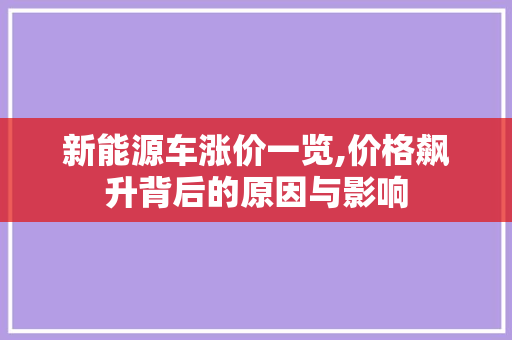 新能源车涨价一览,价格飙升背后的原因与影响