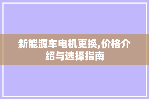 新能源车电机更换,价格介绍与选择指南