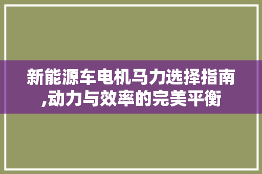 新能源车电机马力选择指南,动力与效率的完美平衡