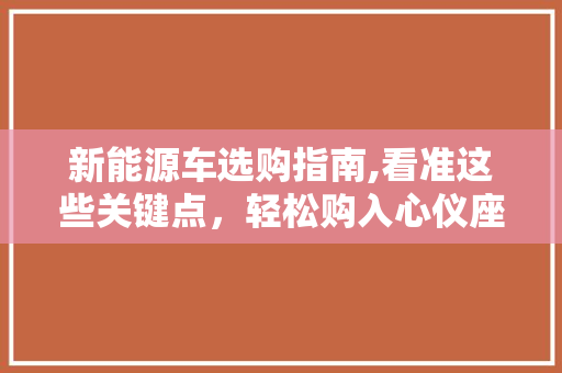 新能源车选购指南,看准这些关键点，轻松购入心仪座驾