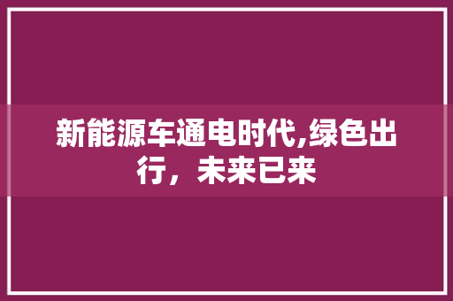 新能源车通电时代,绿色出行，未来已来