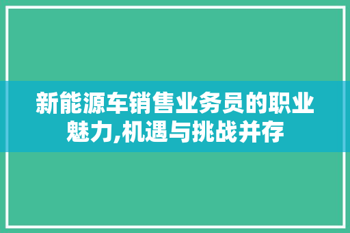 新能源车销售业务员的职业魅力,机遇与挑战并存
