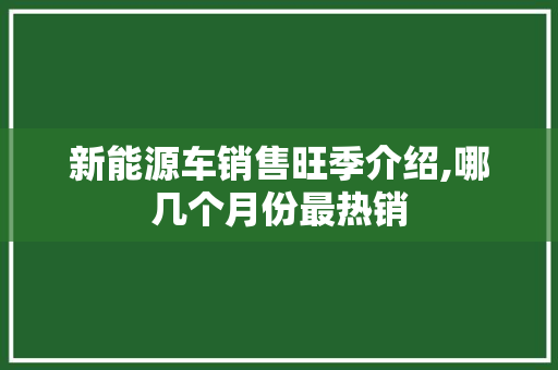 新能源车销售旺季介绍,哪几个月份最热销