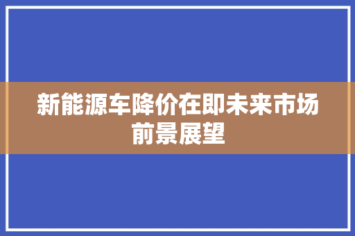 新能源车降价在即未来市场前景展望