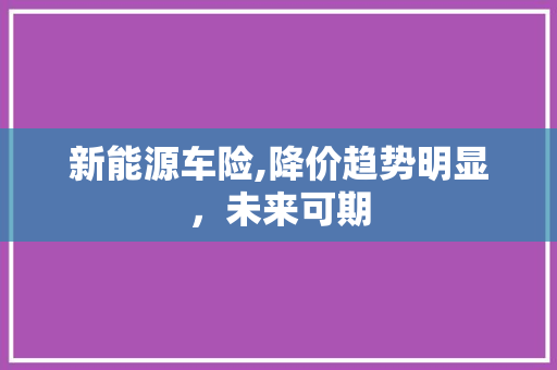 新能源车险,降价趋势明显，未来可期