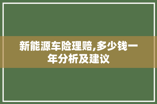 新能源车险理赔,多少钱一年分析及建议