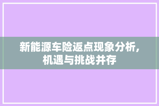 新能源车险返点现象分析,机遇与挑战并存