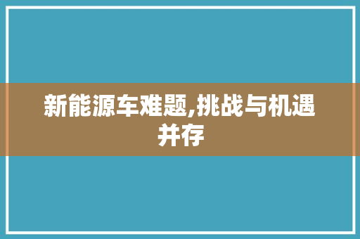 新能源车难题,挑战与机遇并存