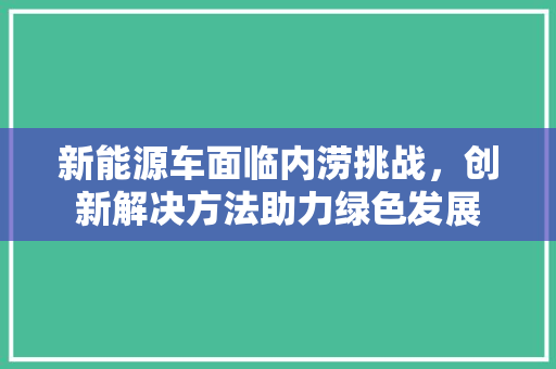 新能源车面临内涝挑战，创新解决方法助力绿色发展