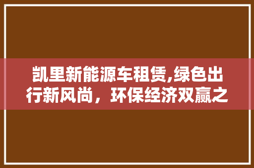凯里新能源车租赁,绿色出行新风尚，环保经济双赢之路