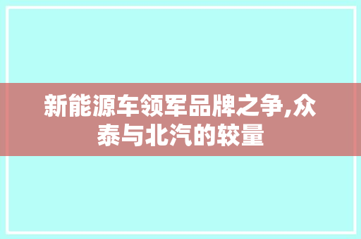 新能源车领军品牌之争,众泰与北汽的较量