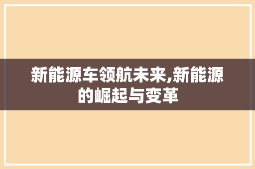 新能源车领航未来,新能源的崛起与变革