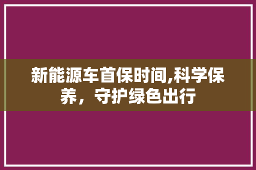 新能源车首保时间,科学保养，守护绿色出行