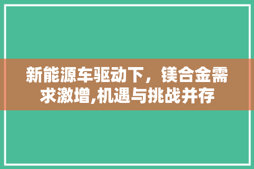 新能源车驱动下，镁合金需求激增,机遇与挑战并存