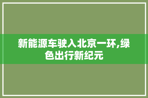 新能源车驶入北京一环,绿色出行新纪元