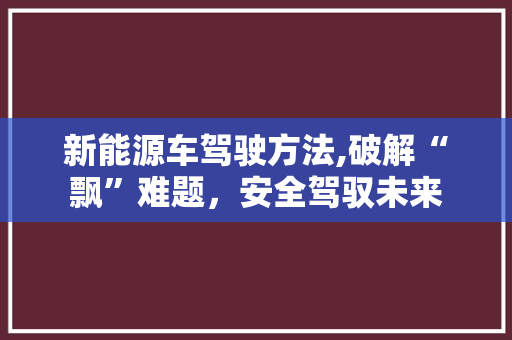 新能源车驾驶方法,破解“飘”难题，安全驾驭未来