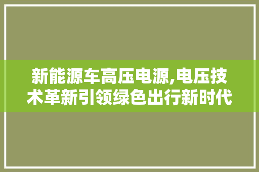 新能源车高压电源,电压技术革新引领绿色出行新时代