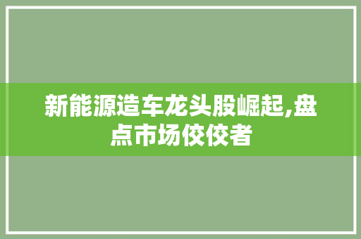 新能源造车龙头股崛起,盘点市场佼佼者