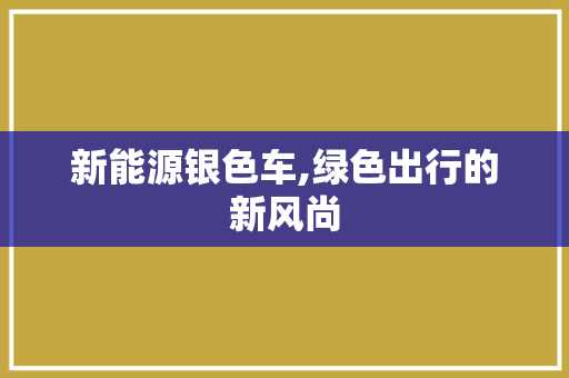 新能源银色车,绿色出行的新风尚