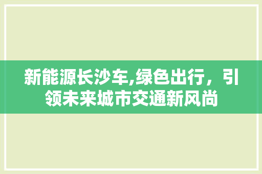 新能源长沙车,绿色出行，引领未来城市交通新风尚