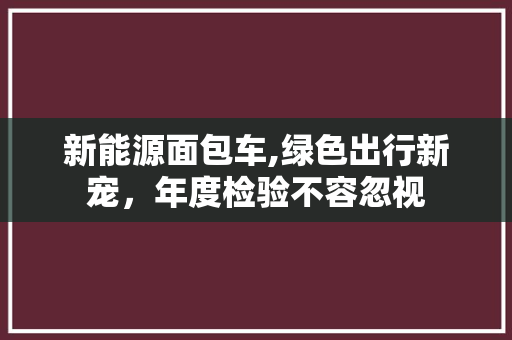 新能源面包车,绿色出行新宠，年度检验不容忽视