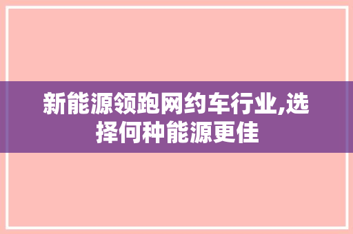 新能源领跑网约车行业,选择何种能源更佳