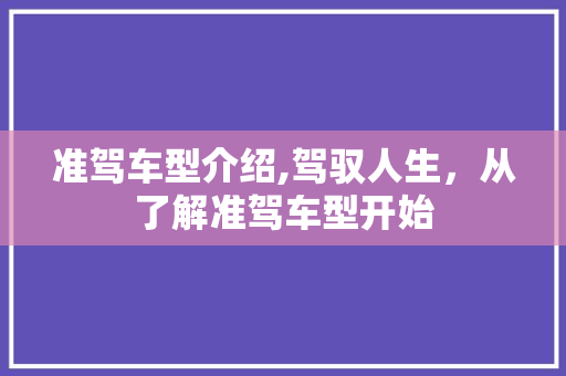 准驾车型介绍,驾驭人生，从了解准驾车型开始