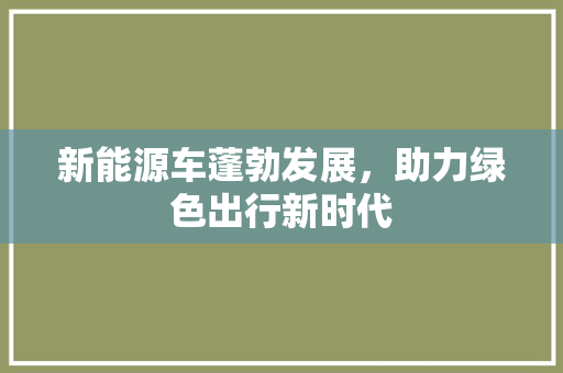 新能源车蓬勃发展，助力绿色出行新时代