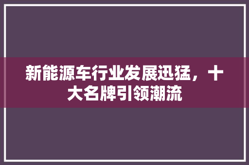 新能源车行业发展迅猛，十大名牌引领潮流