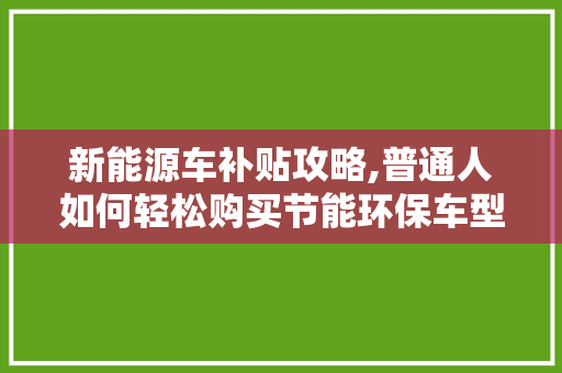 新能源车补贴攻略,普通人如何轻松购买节能环保车型