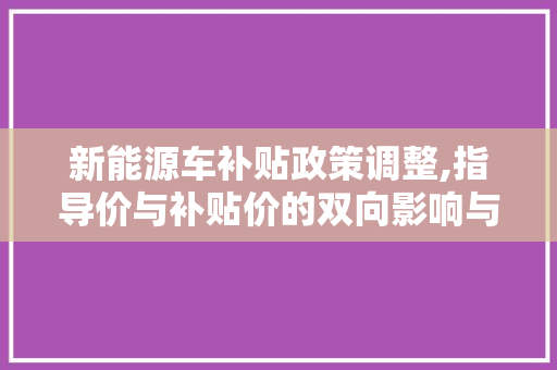 新能源车补贴政策调整,指导价与补贴价的双向影响与启示