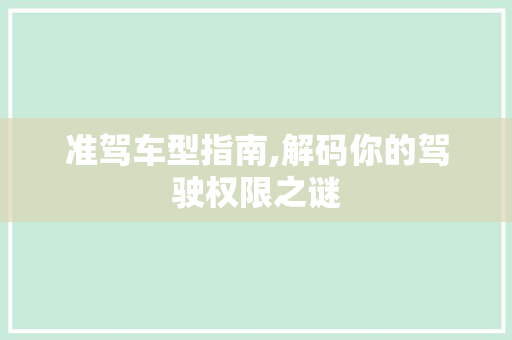 准驾车型指南,解码你的驾驶权限之谜