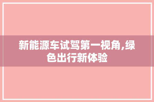 新能源车试驾第一视角,绿色出行新体验
